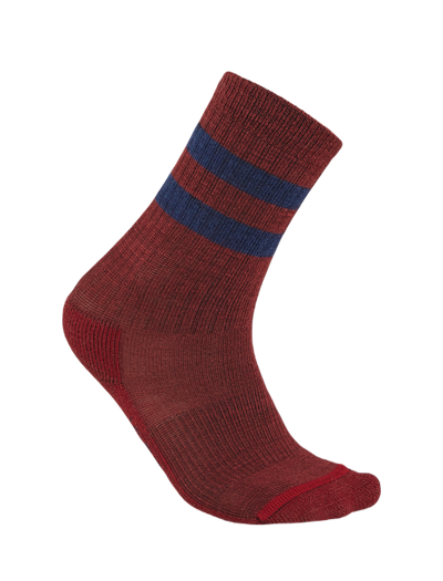 Skarpety junior merino Icebreaker Hike Light Crew 