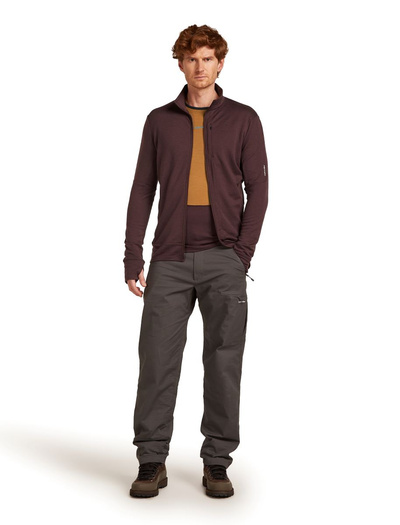 Bluza męska merino Icebreaker 260 Quantum LS Zip