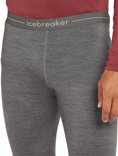 Legginsy męskie Icebreaker 260 Tech