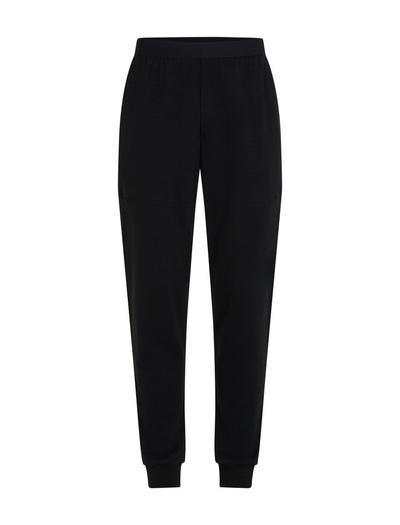 Spodnie dresowe męskie merino Icebreaker 300 RealFleece Descender Jogger