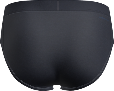 Majtki slipy męskie Icebreaker Core Briefs
