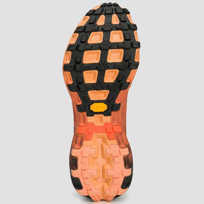 Buty biegowe trailowe X-Bionic Terraskin X01