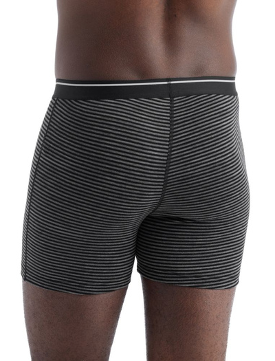 Majtki męskie bokserki 150 Icebreaker Anatomica Boxers