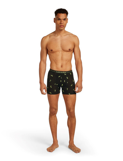 Majtki męskie bokserki 150 Icebreaker Anatomica Boxers Snow Day
