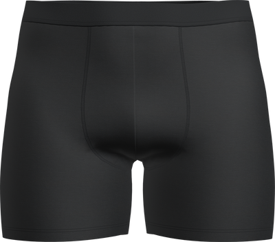 Majtki męskie bokserki Icebreaker Core Boxers