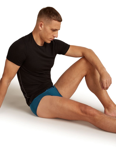 Majtki slipy męskie Icebreaker 150 Anatomica Briefs