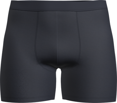 Majtki męskie bokserki Icebreaker Core Boxers