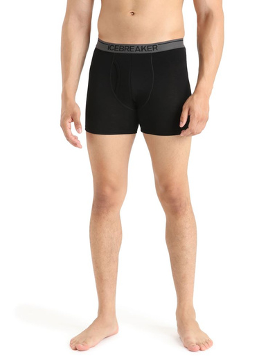 Bokserki męskie 150 Icebreaker Anatomica Boxers wFly