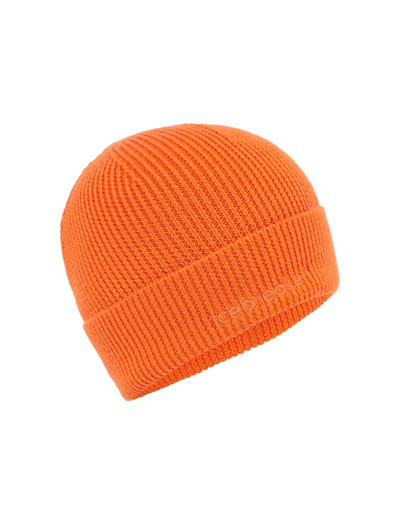 Czapka Icebreaker All Day Toque Beanie