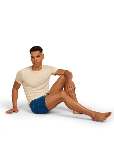 Majtki męskie bokserki 150 Icebreaker Anatomica Boxers Snow Day