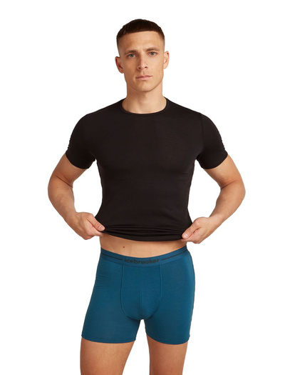 Majtki męskie bokserki 150 Icebreaker Anatomica Boxers