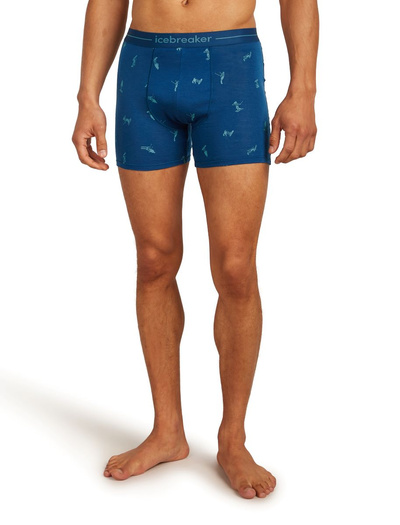 Majtki męskie bokserki 150 Icebreaker Anatomica Boxers Snow Day