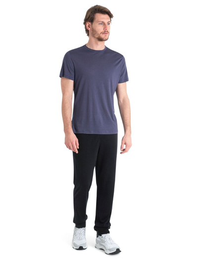 Koszulka męska z krótkim rękawem Icebreaker Core SS Tee