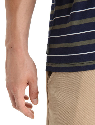 Koszulka męska z krótkim rękawem Icebreaker Merino Wave SS Tee Stripe