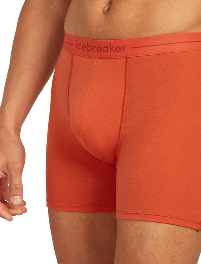 Majtki męskie bokserki 150 Icebreaker Anatomica Boxers