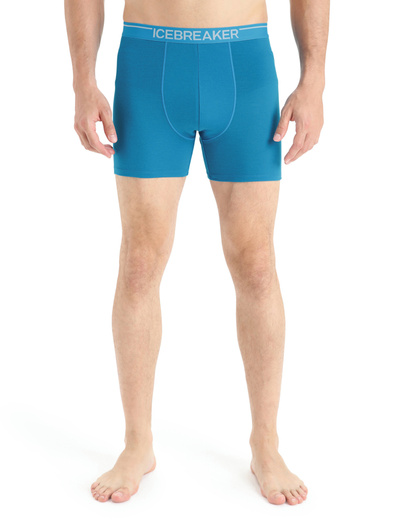 Majtki męskie bokserki merino Icebreaker 150 Anatomica Boxers BAJA