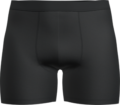 Majtki męskie bokserki Icebreaker Core Boxers