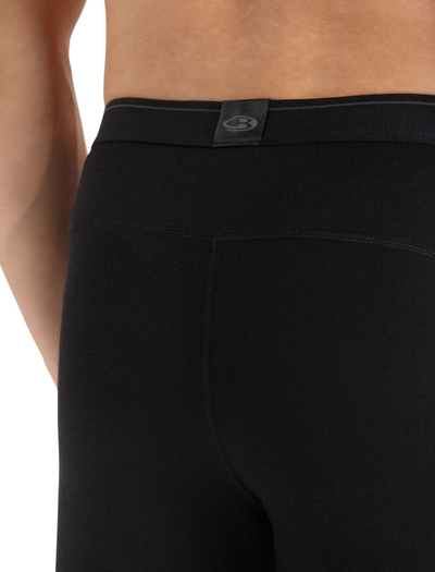 Legginsy męskie Icebreaker 200 Oasis Leggings wFly
