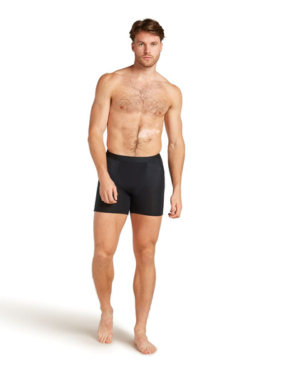 Majtki męskie bokserki Icebreaker Core Boxers