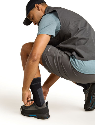 Skarpety męskie merino Icebreaker Hike+ Light Crew