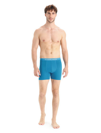Majtki męskie bokserki merino Icebreaker 150 Anatomica Boxers BAJA