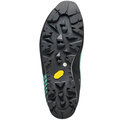 Buty wysokogórskie damskie ze skóry Scarpa Mont Blanc Pro GTX