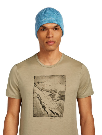 Czapka unisex merino Icebreaker All Day Toque Beanie