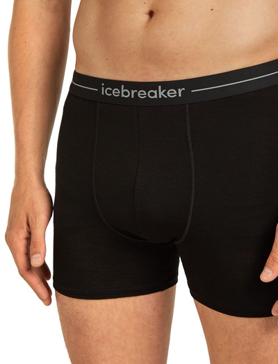 Majtki męskie bokserki 150 Icebreaker Anatomica Boxers