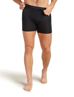 Majtki męskie bokserki Icebreaker Core Boxers