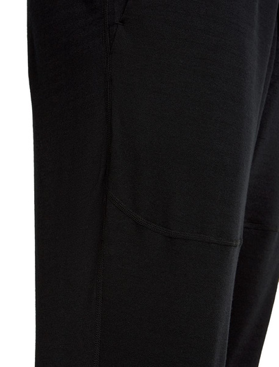 Spodnie dresowe męskie merino Icebreaker 300 RealFleece Descender Jogger