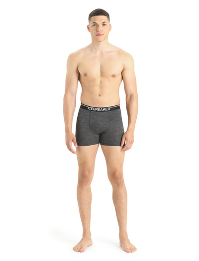 Majtki męskie bokserki merino 150 Icebreaker Anatomica Boxers