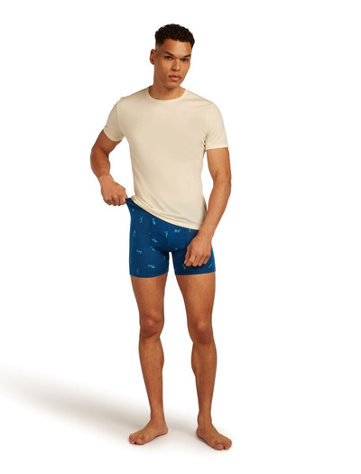 Majtki męskie bokserki 150 Icebreaker Anatomica Boxers Snow Day