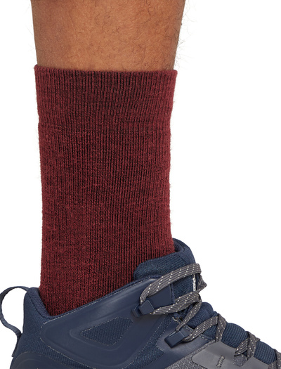 Skarpety męskie Icebreaker Hike+ Medium Crew