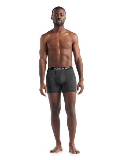 Bokserki męskie Icebreaker Anatomica Boxers