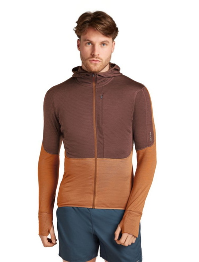 Bluza męska Icebreaker 200 Realfleece Descender Hood 