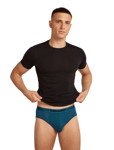 Majtki slipy męskie Icebreaker 150 Anatomica Briefs