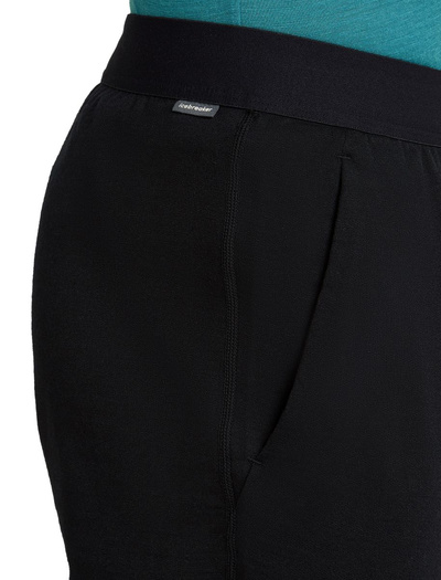 Spodnie dresowe męskie merino Icebreaker 300 RealFleece Descender Jogger