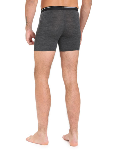 Majtki męskie bokserki 150 Icebreaker Anatomica Boxers wFly