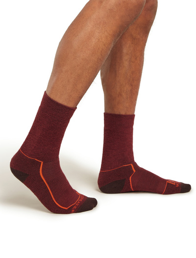 Skarpety męskie Icebreaker Hike+ Medium Crew