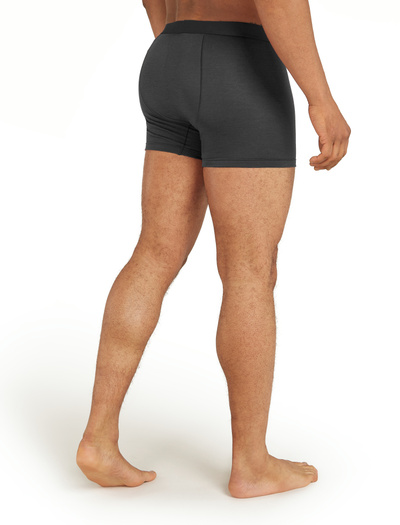 Majtki męskie bokserki 150 Icebreaker Anatomica Boxers