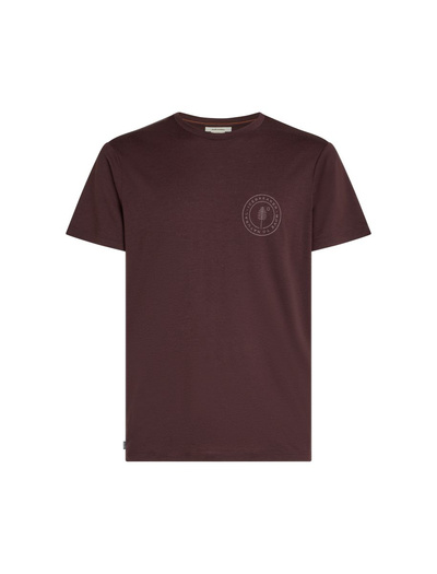 Koszulka męska z krótkim rękawem merino Icebreaker 150 Tech Lite SS Tee Hike Naturally
