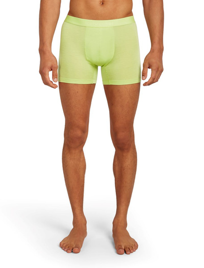 Majtki męskie bokserki Icebreaker merino 125 Cool-Lite Anatomica Boxers