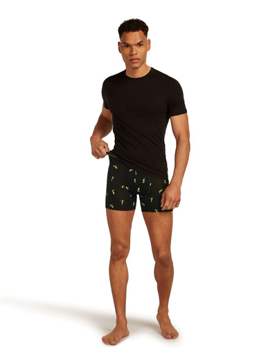 Majtki męskie bokserki 150 Icebreaker Anatomica Boxers Snow Day