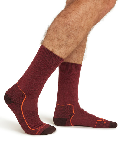 Skarpety męskie Icebreaker Hike+ Light Crew