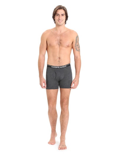 Majtki męskie bokserki 150 Icebreaker Anatomica Boxers wFly