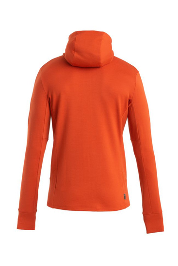 Bluza męska Icebreaker 260 Quantum IV LS Zip Hoodie