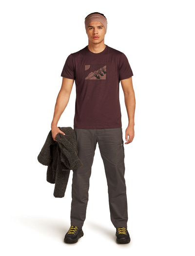 Koszulka męska z krótkim rękawem merino Icebreaker 150 Tech Lite SS Tee In The Wild