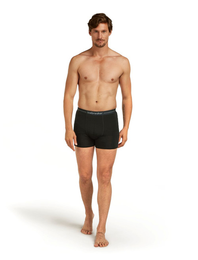 Majtki męskie bokserki 150 Icebreaker Anatomica Boxers