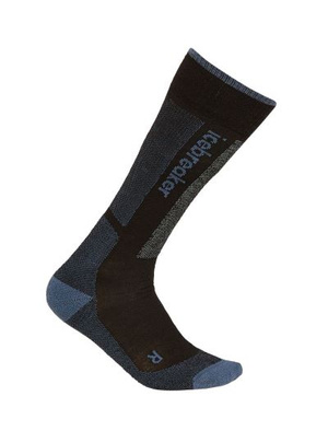 Skarpety narciarskie damskie Icebreaker Ski+ Light OTC