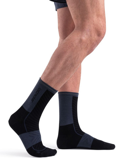Skarpety męskie merino Icebreaker Run+ Ultralight Crew